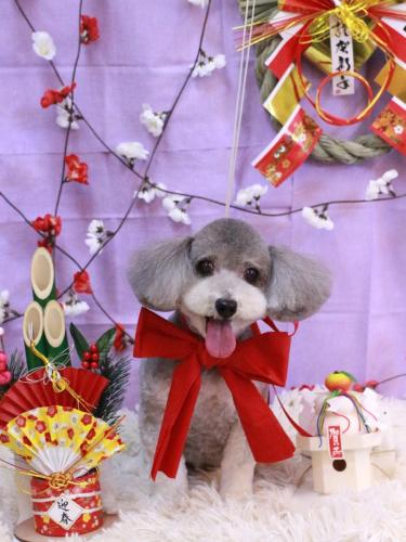 20230111チップちゃん